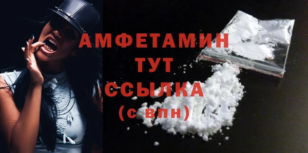тгк Дмитриев