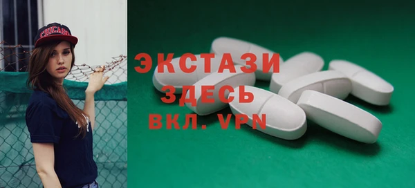 тгк Дмитриев