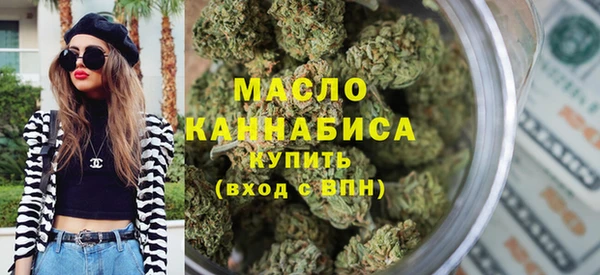 мдпв Ельня