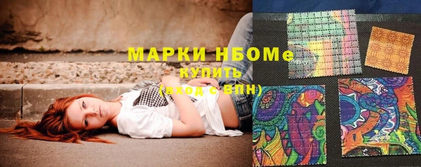 тгк Дмитриев