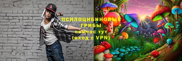 apvp Заволжье