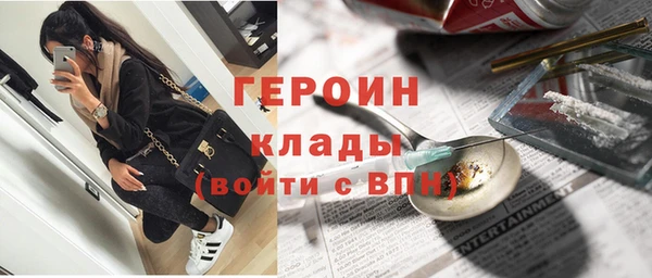 тгк Дмитриев