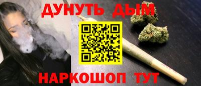 крисы Гай