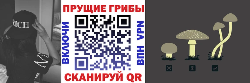 Псилоцибиновые грибы прущие грибы  Медногорск 