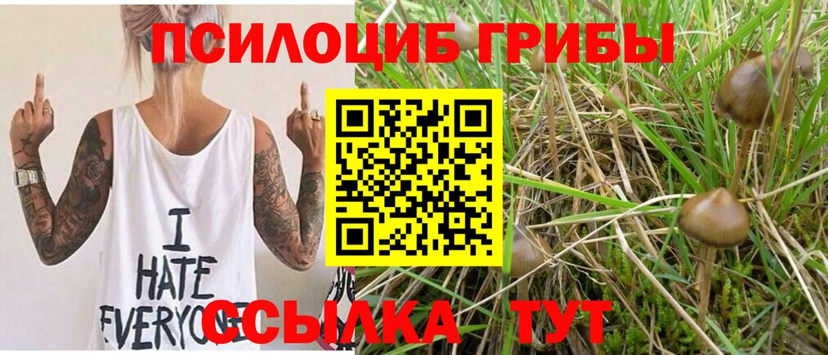 Псилоцибиновые грибы Cubensis  Вход с VPN  Медногорск  цена наркотик  Галлюциногенные грибы GOLDEN TEACHER 