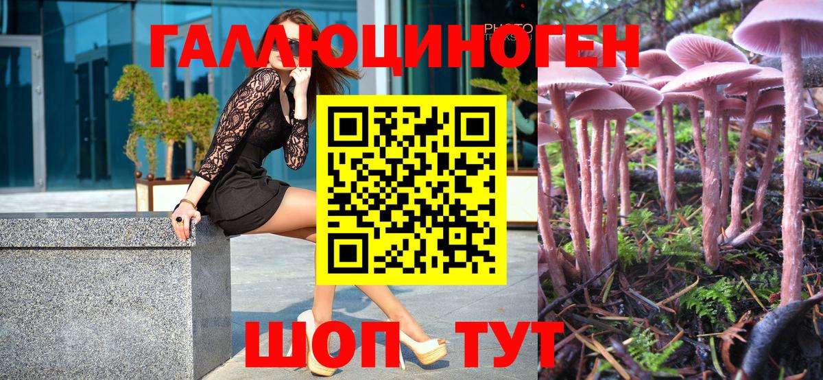 Псилоцибиновые грибы мицелий Медногорск